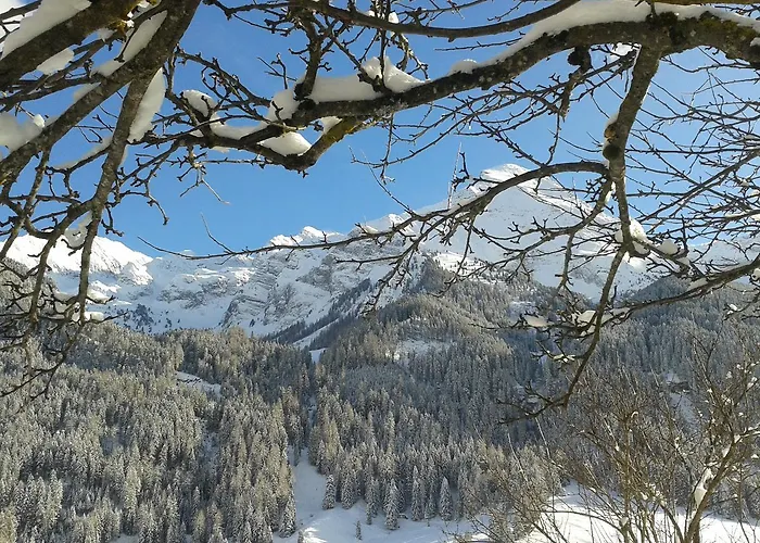 Haus Waldheim Bed and Breakfast 3*